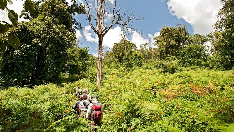 Guide to Mahale Mountains National Park