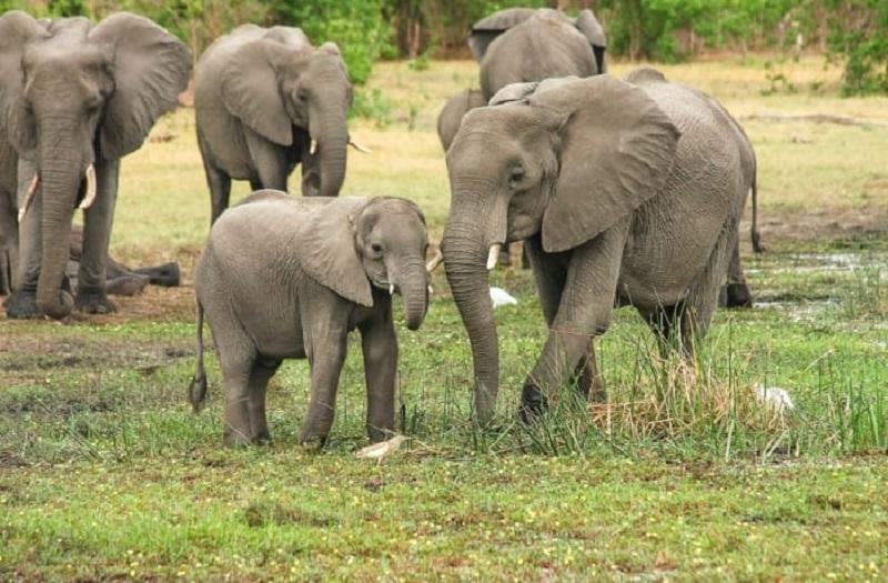 Guide to Mweru Wantipa National Park