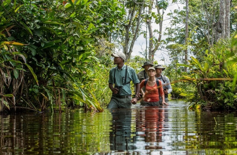 Guide to Odzala-Kokoua National Park