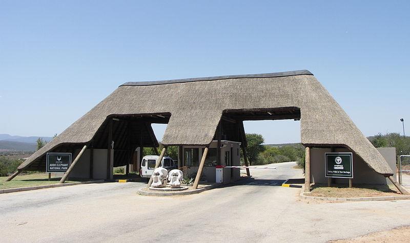 Guide to Addo Elephant National Park