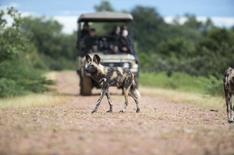 Guide to Lukusuzi National Park