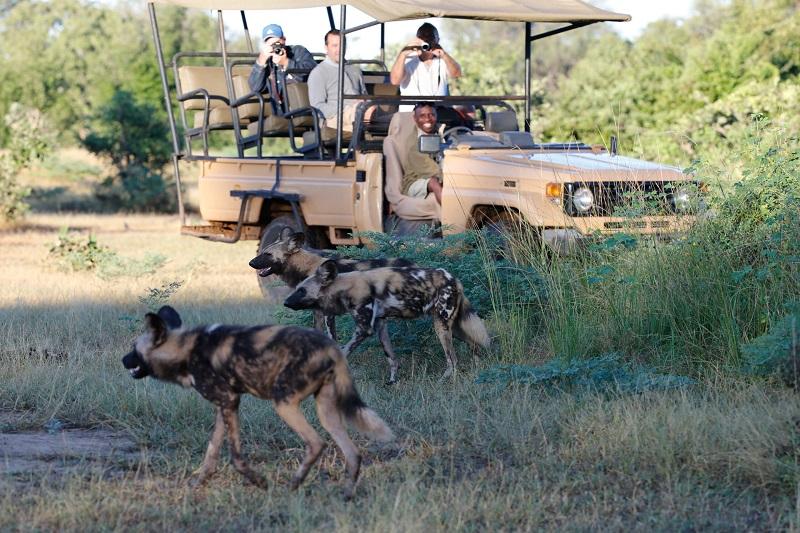 Guide to Lukusuzi National Park