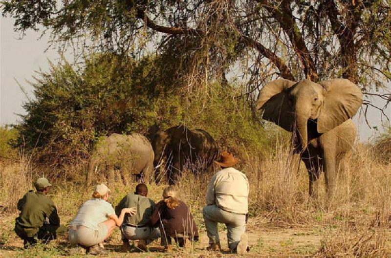 Guide to Lukusuzi National Park