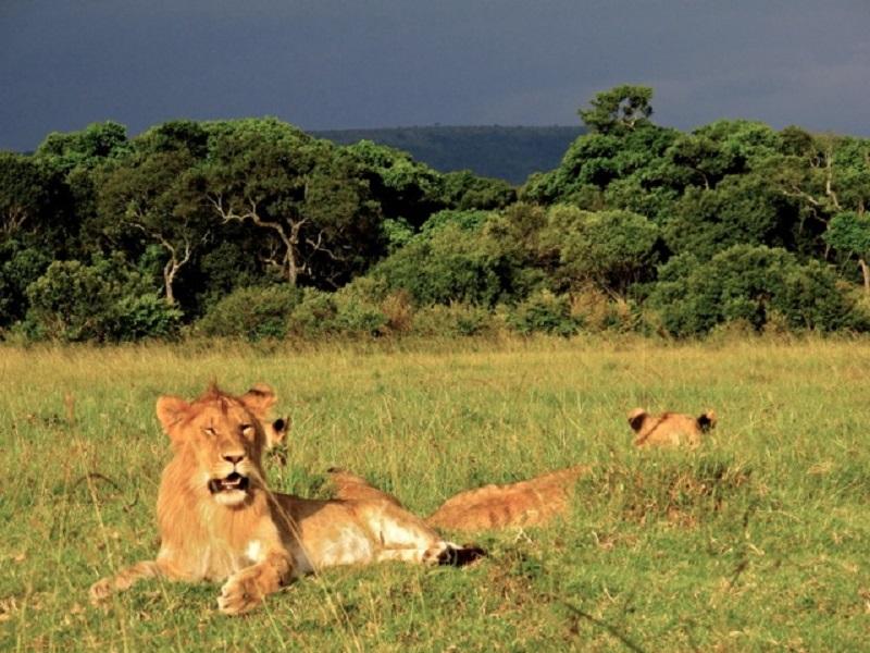 Guide to Lavushi Manda National Park