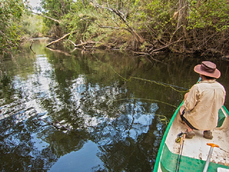 Guide to Lavushi Manda National Park