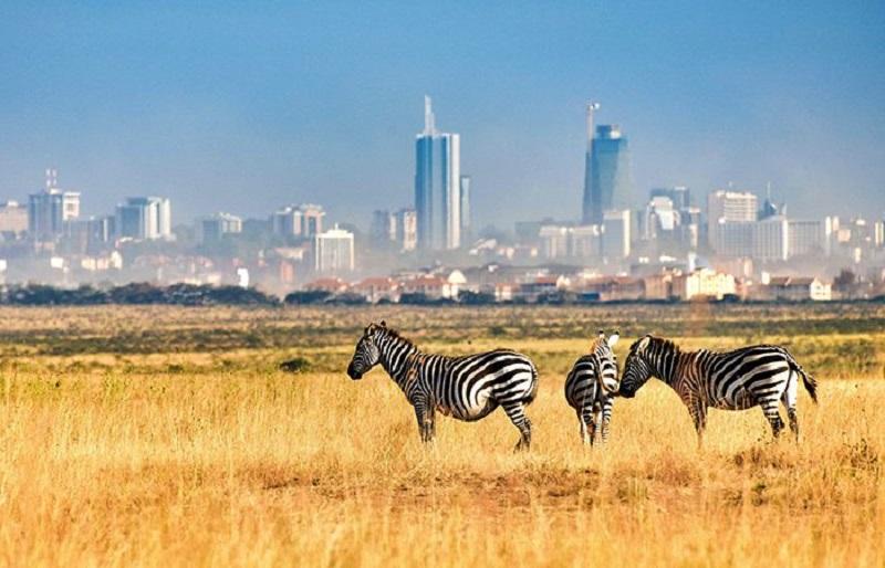 Guide to Nairobi National Park