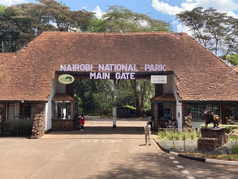 Guide to Nairobi National Park