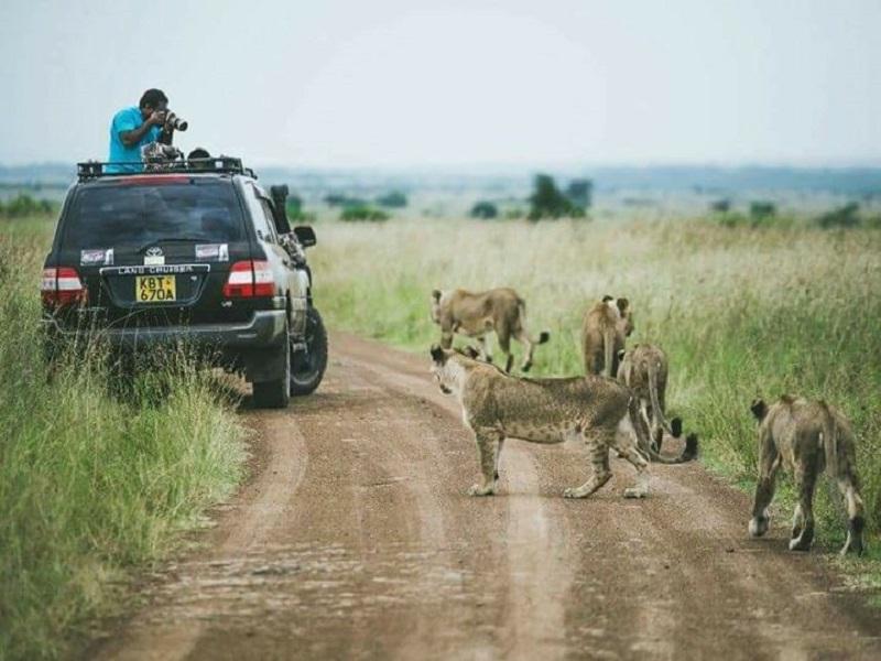 Guide to Nairobi National Park