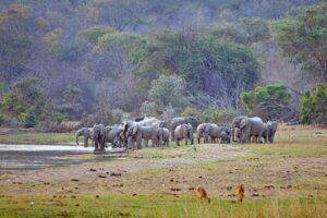 Guide to Nsumbu National Park