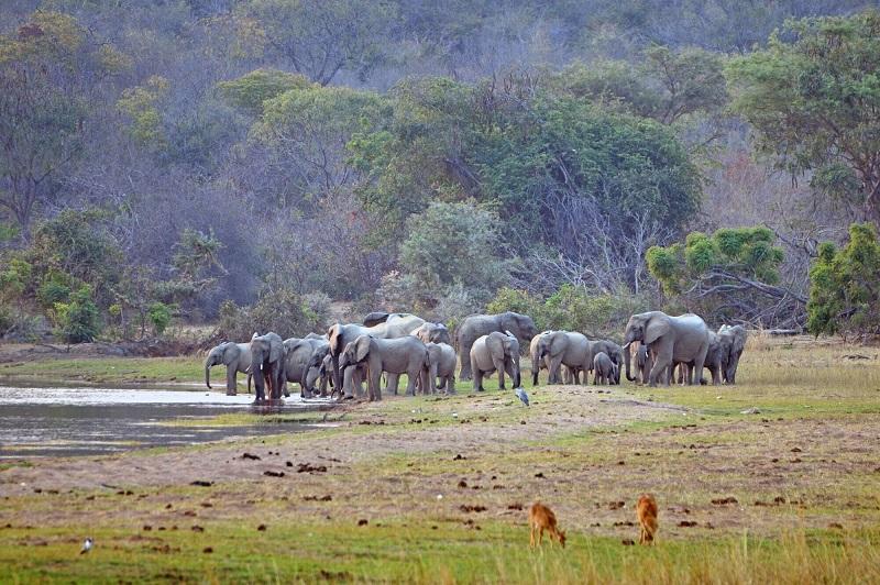 Guide to Nsumbu National Park