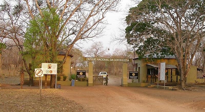 Guide to Gorongosa National Park