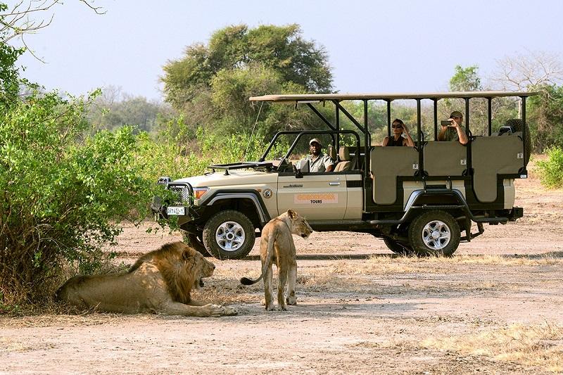 Guide to Gorongosa National Park