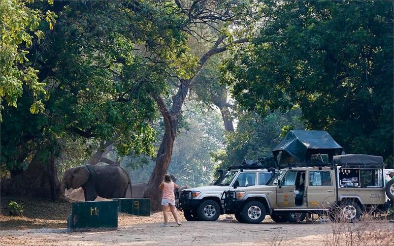 Guide to Mana Pools National Park