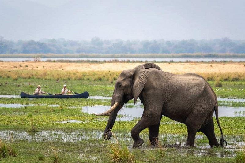 Guide to Mana Pools National Park