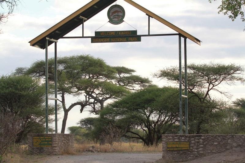 Guide to Tarangire National Park