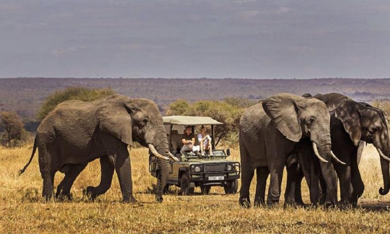 Guide to Tarangire National Park