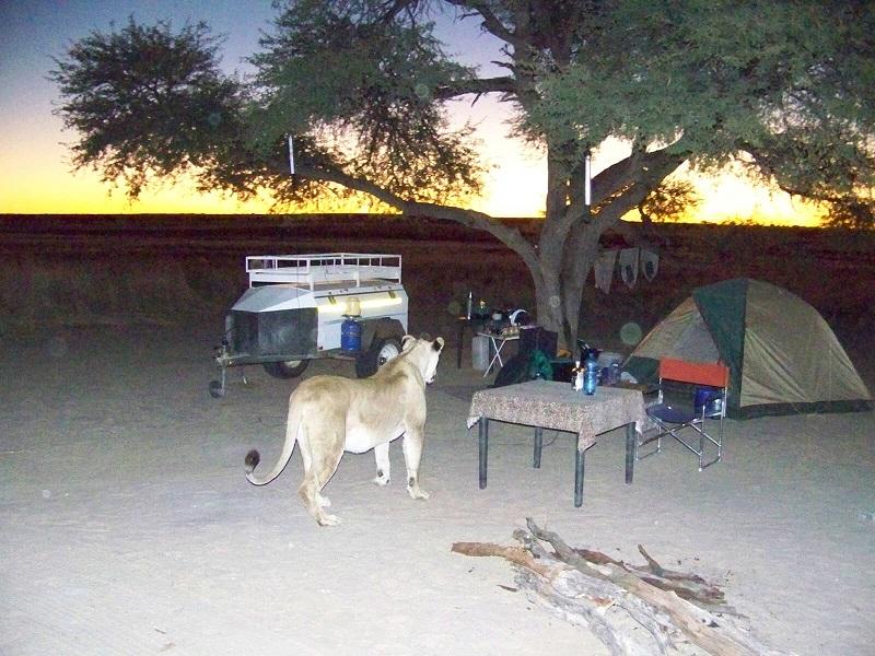 Guide to Kgalagadi National Park