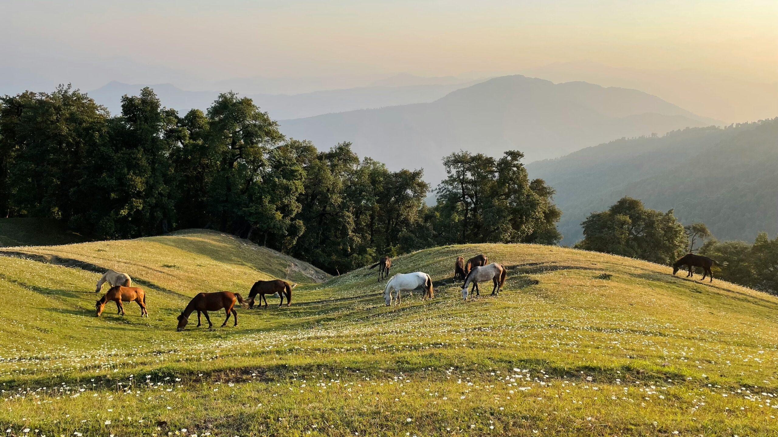 trekking trails in India
