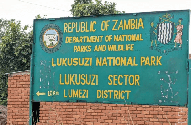 Guide to Lukusuzi National Park