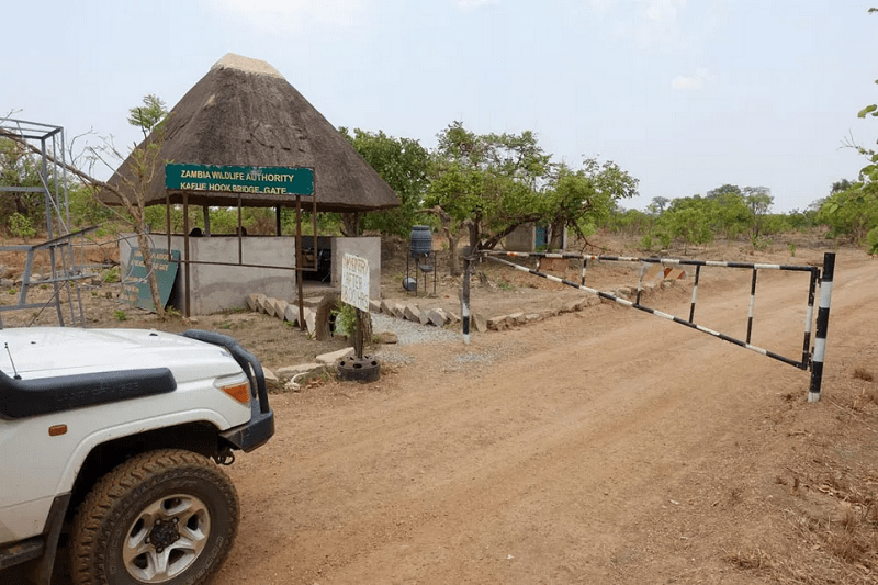 Guide to Kafue National Park