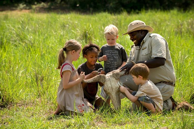 Tips on how to go for a safari with kids