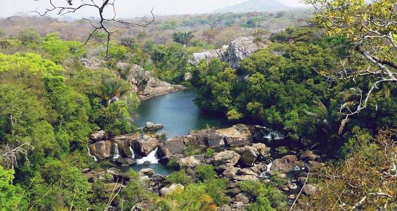 Guide to Manda National Park