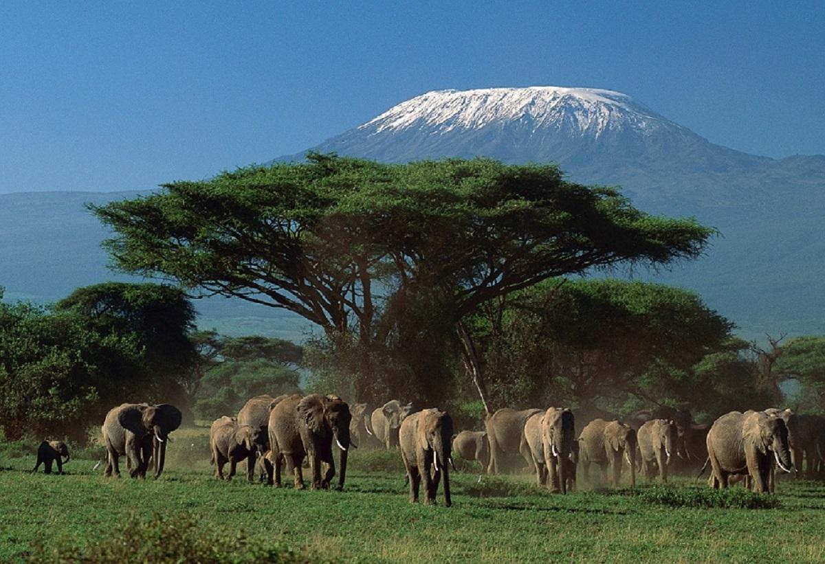 Guide to Arusha National Park