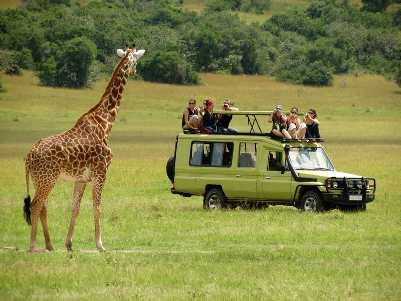 Guide to Arusha National Park