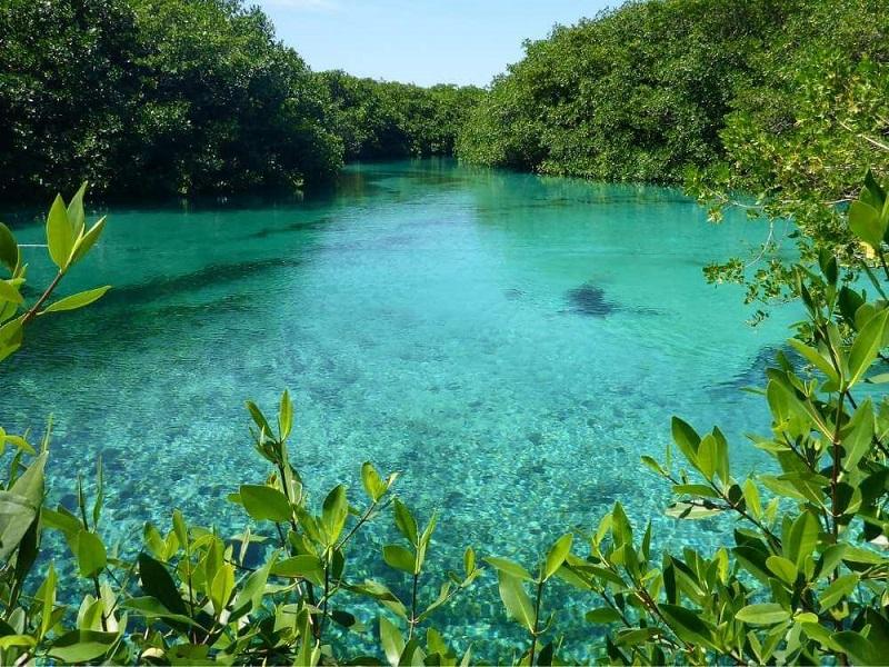 Guide to the Best Cenotes in Tulum, Mexico