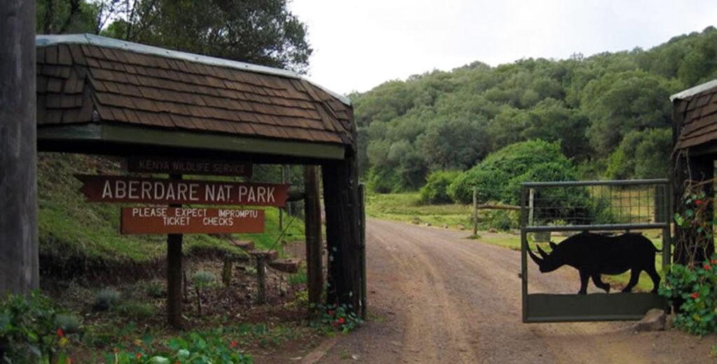 Guide to Aberdare National Park