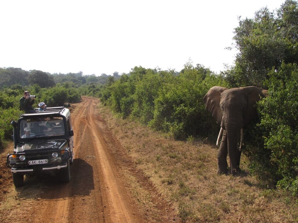 Guide to Aberdare National Park