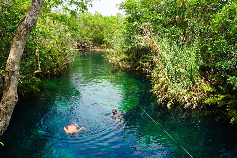 Guide to the Best Cenotes in Tulum, Mexico