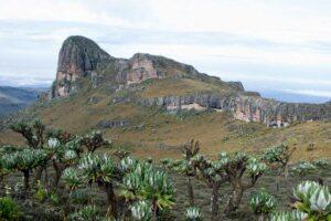 Guide to Mount Elgon National Park