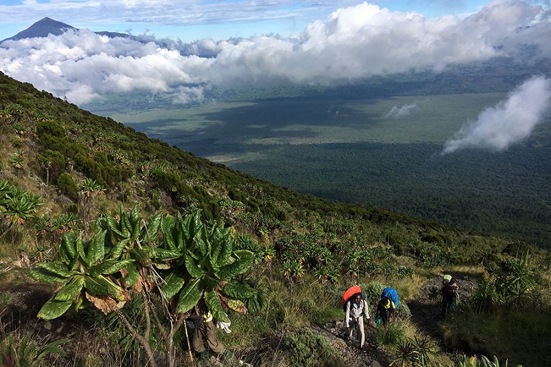 Guide to Mount Elgon National Park