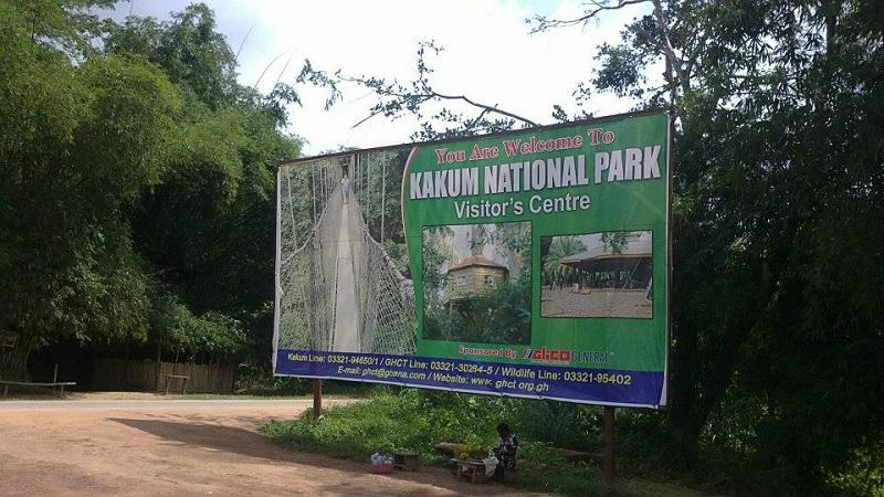 Guide to Kakum National Park