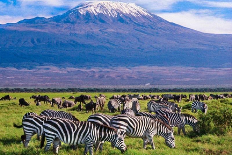 Guide to Kilimanjaro National Park