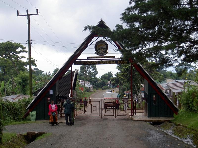 Guide to Kilimanjaro National Park