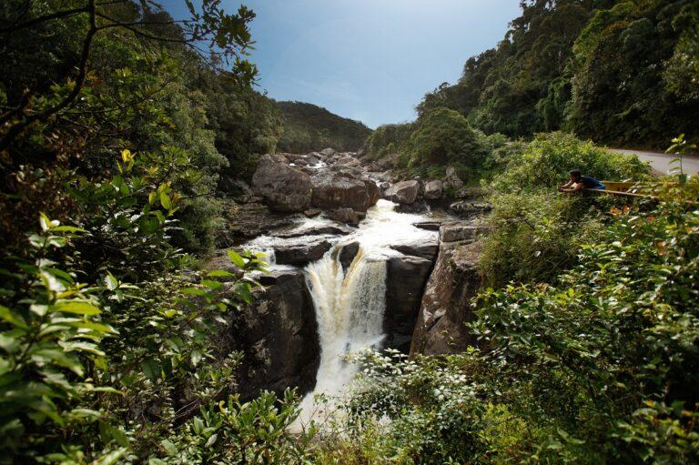 Guide to Ranomafana National Park