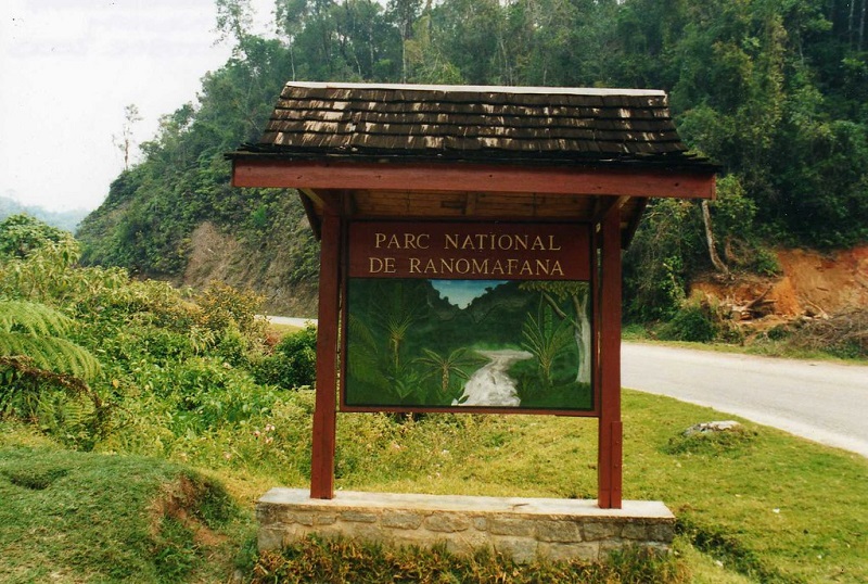 Guide to Ranomafana National Park