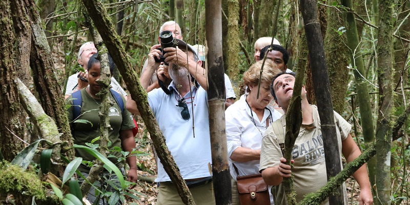 Guide to Ranomafana National Park