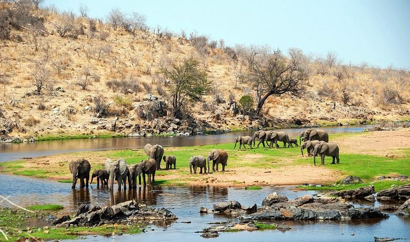 Guide to Ruaha National Park