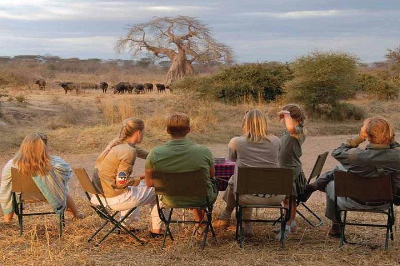 Guide to Ruaha National Park