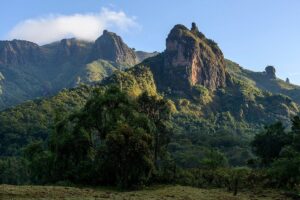 Guide to Bale Mountains National Park