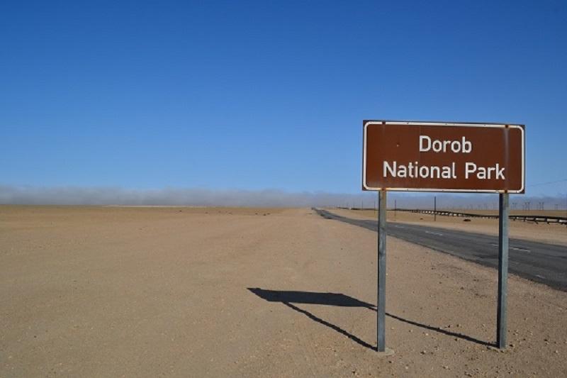 Guide to Dorob National Park