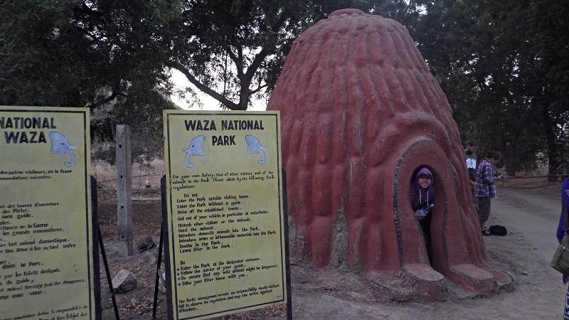 Guide to Waza National Park