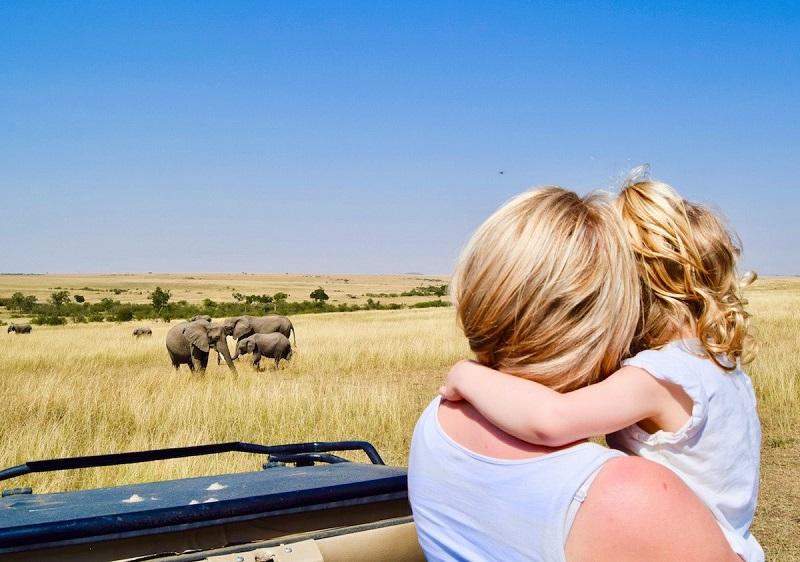 Tips on how to go for a safari with kids