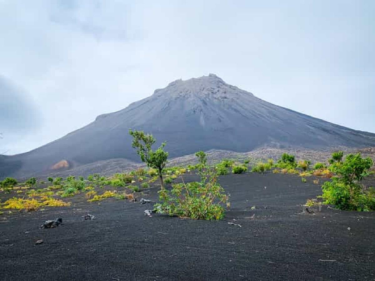 Guide to Fogo National Park