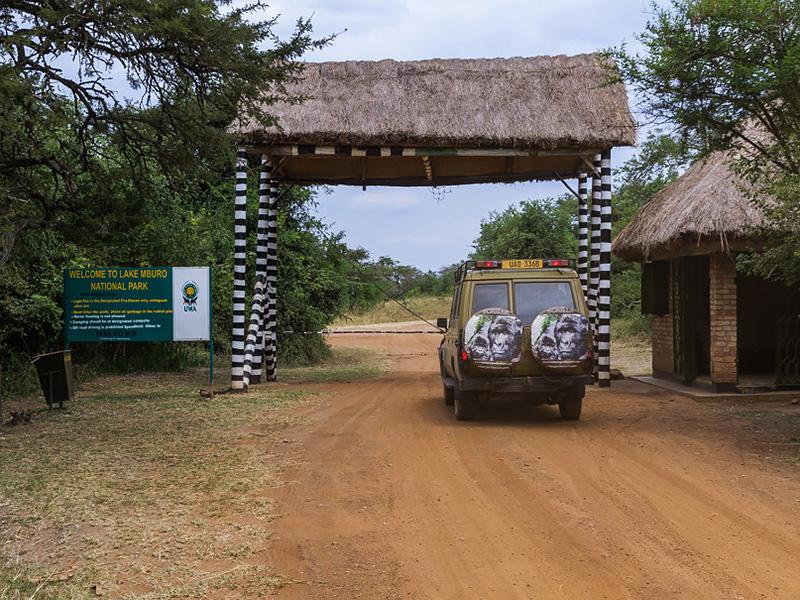 Guide to Lake Mburo National Park