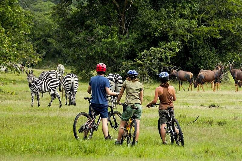 Guide to Lake Mburo National Park