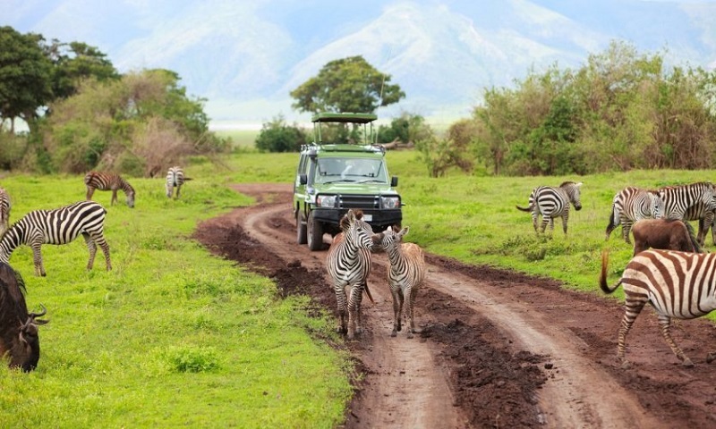 Guide to Ruvubu National Park